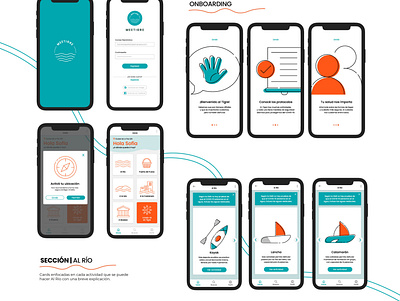 Meetigre app | UX/UI design graphic product ui ux