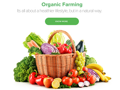 Naturalle - Organic Food - Website design ecommerce fruits naturalle organic organic faming organic food organic fruits and vegetables shopping cart vegetable website design