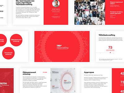 TEDxSadovoeRing Presentation Template brand brandbook event presentation