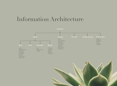 UX Project Information Architecture branding content design design information architecture typography ui ux ux design web design