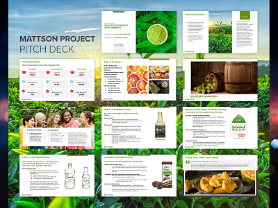 Mattson Presentation