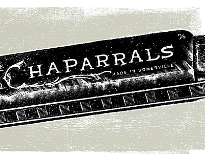 The Chaparrals Band music