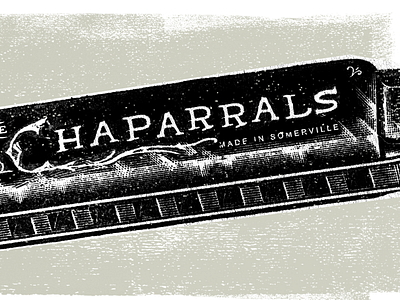 The Chaparrals Band