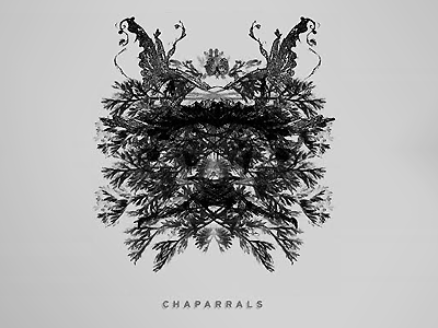 Chaparrals Gig Poster gig poster illustration ink line art music rorschach