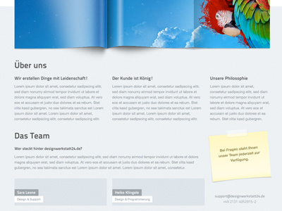 About us about us blue brochure broschüre clean cool fold note parrot web webdesign webseite website