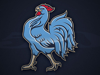 France Football Rooster branding football france sports