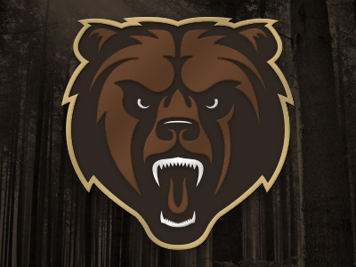 Bear Logo bear logos sports