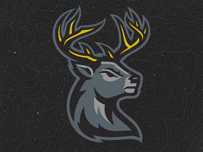 Iowa Heartlanders Brand Identity branding buck deer heartlanders hockey iowa logos sports stag