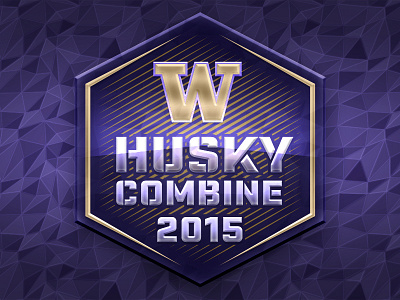 2015 Husky Combine Logo college football football huskies uw washinton