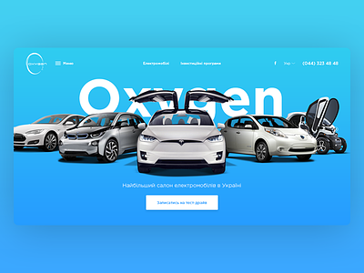 Electric Car Dealer Website bmw car design electric car gradient model s navigation nissan slider tesla typography website