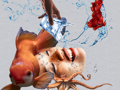 H2O art collage collageart digitalart fish water