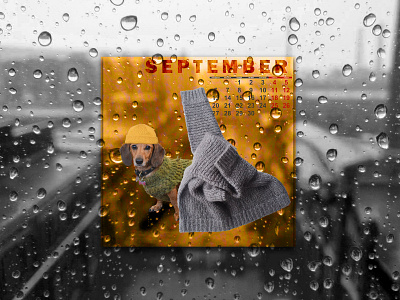 september collage collage art collage maker dog rain september