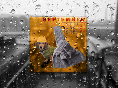 september