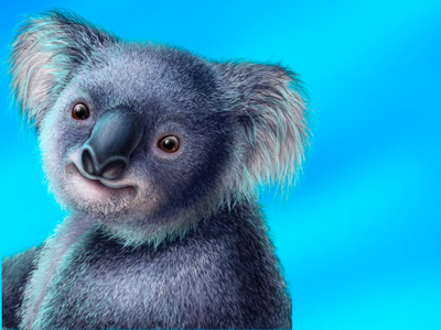 Koala rare eucalyptus game artist game art teddy wild fur animal character design character nature bushfire digital art slotopaint digital wildlife illustration australia koala beer koala