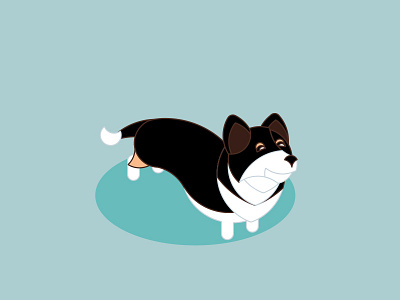 Pembroke Welsh Corgi circles corgi dogs illustrator pembroke vector welsh