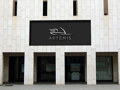 Artemis Storefront Dribbble