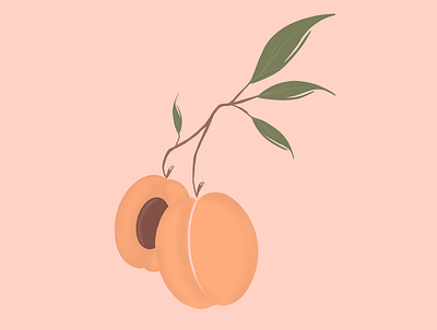 Apricot design freelance illustration illustrator procreate