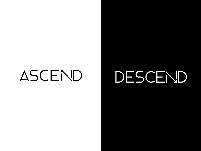 ascend-descend-by-filipa-amado-on-dribbble