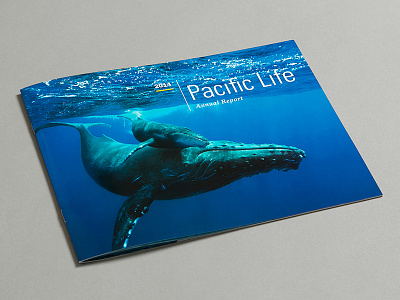 Pacific Life Annual Report annual data design photography print report visualization viz