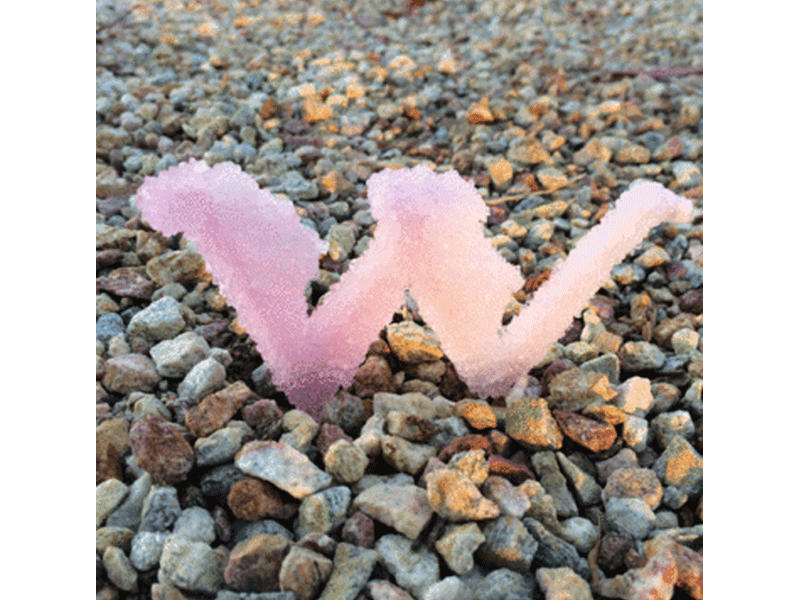 Type Fight! Delicate! beach crystal drop cap ocean pebble pink sugar w