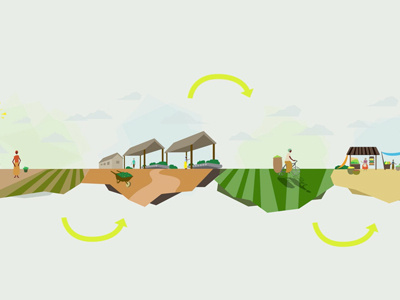 USAID: Powering Agriculture africa agriculture farming motion graphic