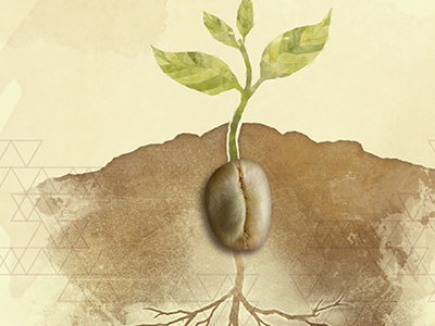 Coffee Bean Growth bean illustration pant photo photoshop texture