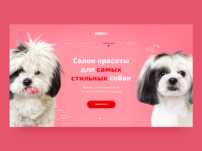 Grooming Salon | Concept animals cute dailyui design dog dogs funny grooming homepage minimal pets pink ui uidesign ux web webdesign