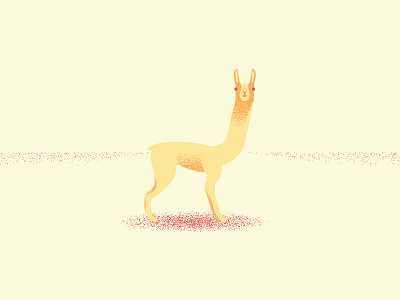 llama