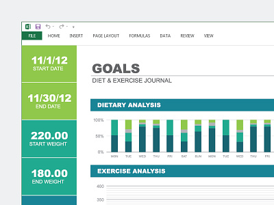 Excel Template diary excel exercise graph journal microsoft tracker