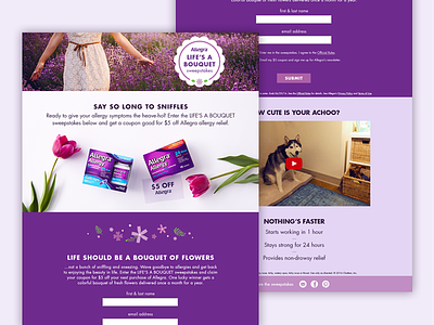 Allegra Native Promotion desktop landing page promotion ui web