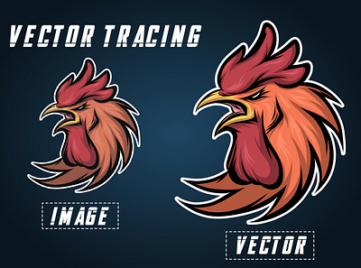 Hen head Vector tracing/redraw logo adobe illustrator branding design icon illustration logo typography vector vector illustration vectors