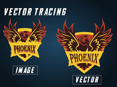 Phoenix Eagle Logo Vector adobe illustrator adobe photoshop banner design branding design icon illustration logo typography vector vector illustration vectorart vectors