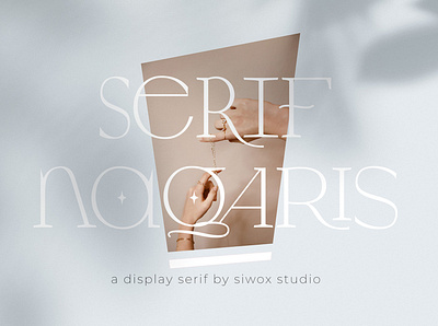 Nagaris Serif Display branding design display feminine ligature logo serif serif font serif typeface typography