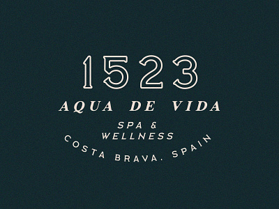 Aqua De Vida boutique logo brand identity branding design graphic design health logo hotel logo logo logo design logo mock up logo variation spa branding spa logo spain branding typography wellness logo