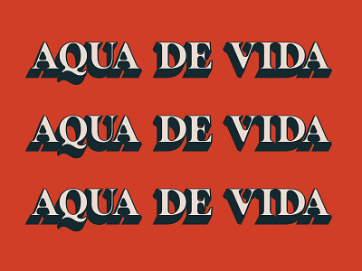 Aqua de Vida brand design brand identity branding design graphic design logo logo design type typography vector