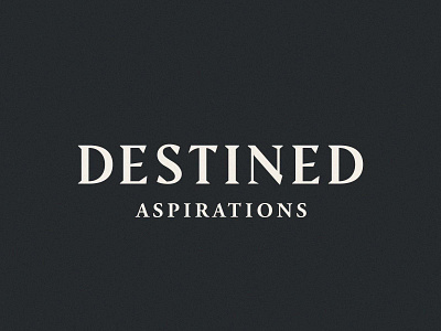 Destined Aspirations brand identity branding custom type graphic design identity logo logo design type typography