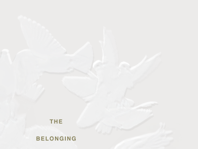 The Belonging Co — Book Cover Concept