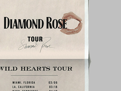 Diamond Rose — Tour Poster Sample branding music poster print design tour poster typography