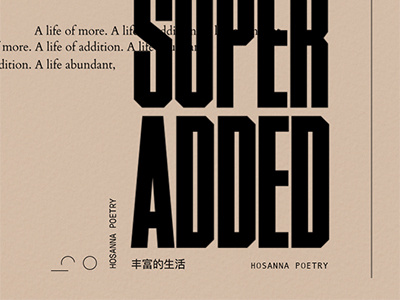 "Superadded" Book — Art Direction Deck book cover graphic design typography