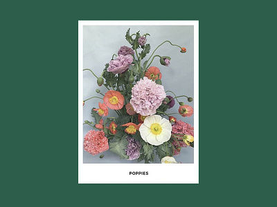 Team Flower Brand Booklet by Soul Twin Studio