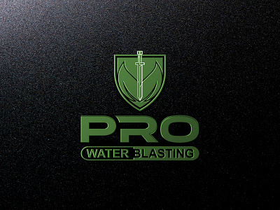 My Latest Project Pro Water Blasting Logo Design