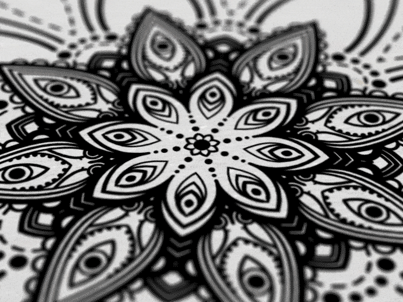 Ink Flower animation flower gif illustration line lines paper