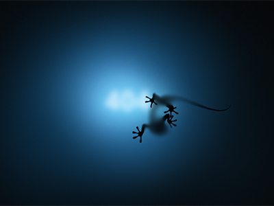 404 Page 404 blue lizard not found page