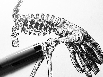 Elephant Bird bird bones elephant bird ink micron skeleton sketch sketchbook wip