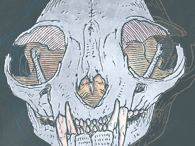 Cat Skull cat digital drawing illustration offset skull texture