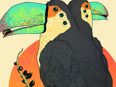 Twocan bird drawing feathers illustration photoshop psychedelic texture toucan