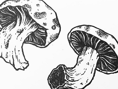 Mushrooms 2