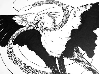 Secretary Bird bird drawing feathers illustration ink scales snake