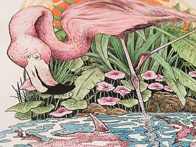 Flamingo bird colored pencils drawing flamingo flowers illustration poster sharks water