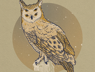 Owl bird feathers four eyes halftone halftones illustration night owl stars texture